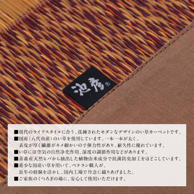 ふるさと納税 八代市 い草を使って織り上げたラグ『DXランクス』140cm×200cm:ベージュ_022-6493 |  | 02