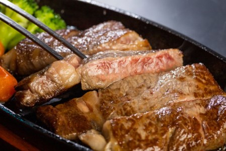 白川郷 飛騨牛 サーロインステーキ 200g×1枚 リブロースステーキ 200g×1枚 計400g 食べ比べ セット 牛肉 和牛 ステーキ 国産 肉 霜降り サーロイン A4等級以上 A4 A5 贅沢