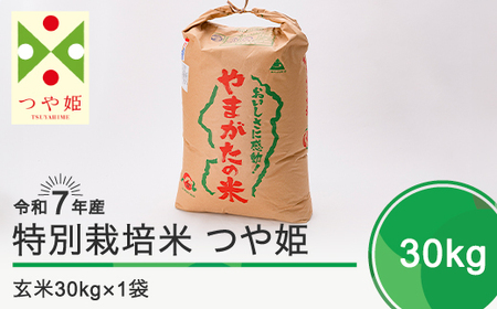 新米 米 つや姫 30kg 令和7年産 【2025年12月上旬発送】大石田町産 特別栽培米 玄米 備蓄 防災 支援 農家 キャンプ 長期保存 先行予約 ※沖縄・離島への配送不可 ja-tsgxa30-12f