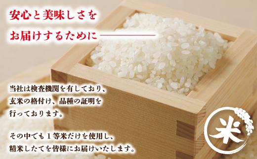 米 10kg 【 新米 令和7年産 】 四万十 の こしひかり ( 5kg ×2袋) 国産 1等米 予約 コシヒカリ 精米 お米 白米 ごはん ご飯 おいしい ふっくら もちもち 高知県 高知 四万十