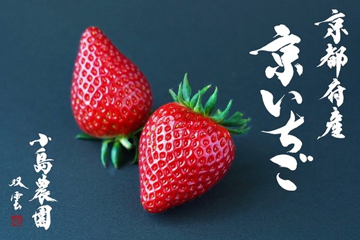 来シーズン予約受付 高級 京いちご 完熟 朝採れ 1箱 約450g 小島農園 紅ほっぺ おいCベリー スターナイトから厳選してお届け≪期間限定 苺 イチゴ 旬≫※離島への配送不可 ※2026年1月中旬～5月上旬頃に順次発送予定