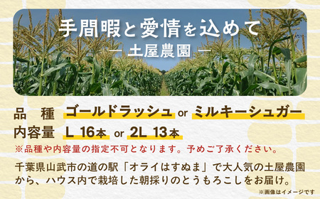 【先行予約】【発送期間：5月中旬～5月下旬】地元の道の駅オライはすぬまで大人気の農家から直送! ジューシーではじける食感が特徴! 朝採り とうもろこし SMCV001
