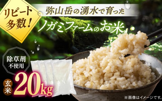 【新米 令和6年産】弥山岳の岩清水で育ったノガミファームの お米 玄米 20kg ( 5kg ×4袋） ▼ おすすめ 人気 ランキング 高評価 国産 福岡県産 九州 米 お米 玄米 ご飯 ごはん ゴハン 精米前 未精米 桂川町/NOGAMI FARM[ADAU012]