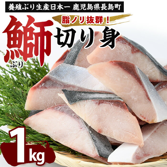【ふるさと納税】【先行予約】鰤の切り身（約1.0kg） 長島町 ふるさと納税 ぶり 鰤 冷凍配送 ぶり 切り身 塩焼き ぶり ふるさと【株式会社島水】shimasui-1506