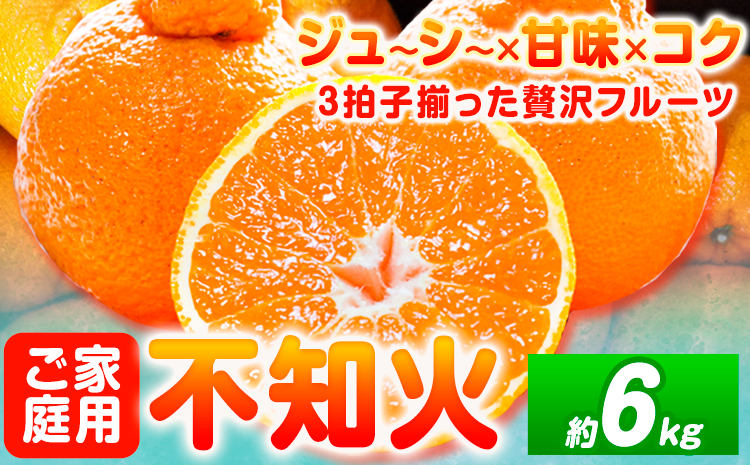 【ご家庭用】紀州有田産 不知火 ( しらぬひ )  約6kg 魚鶴商店 《2月中旬-3月中旬頃出荷》 和歌山県 日高町 不知火 柑橘 果物 フルーツ デコポンと同品種 訳あり不知火 訳ありデコポン 訳あり 送料無料