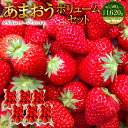 【ふるさと納税】あまおうボリュームセット 約1500～1620g（約250～270g×6パック） G規格 グランデ 大粒 イチゴ いちご 苺 ストロベリー ベリー くだもの 果物 フルーツ 旬 国産 九州 福岡県 大刀洗町 送料無料