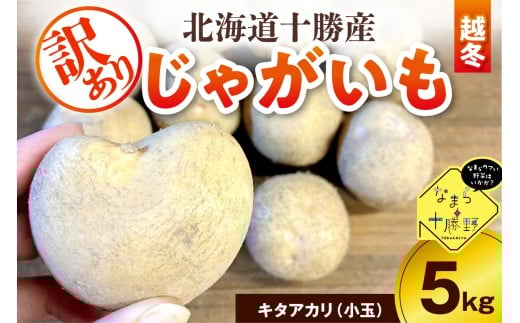 【2月上旬～4月下旬頃配送】【訳あり】北海道十勝芽室町 農家応援じゃがいも(越冬)5㎏　キタアカリ（小玉）me001-051c-1