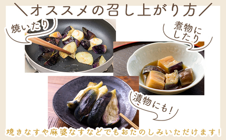 【2026年10月中旬以降発送】長なす 2ｋｇ 家庭用 yr-0071