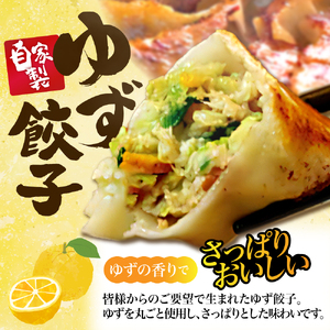 ゆず餃子と元祖プレーン餃子の手作り2種盛冷凍餃子50個入り ２セット【大阪府吹田市】焼き餃子 水餃子 揚げ餃子 蒸し餃子 