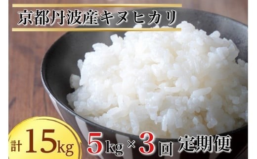 【12月発送】【定期便】令和7年産 新米 5kg 3ヶ月 京都丹波産 キヌヒカリ 白米＜JA京都 たわわ朝霧＞ 3回定期便 5kg×3回 計15kg 毎月発送に合わせて精米