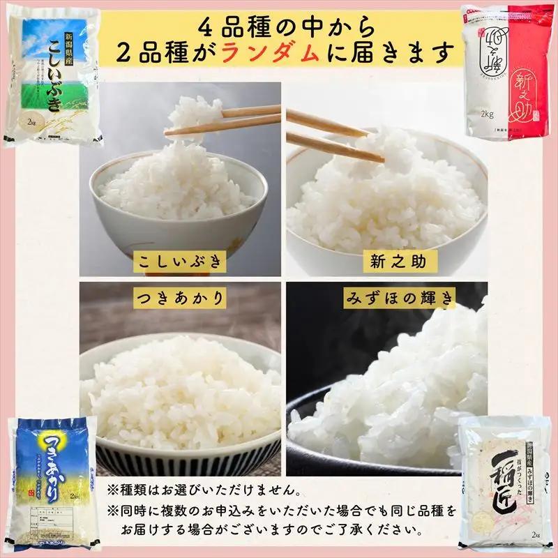 【8月下旬配送】令和7年産 新潟県上越市産米 食べ比べ 9kg 【コシヒカリ 5kgと2kg×2品種】 新之助 こしいぶき つきあかり みずほの輝き ランダム おまかせ 精米 限定 米ヴィレッジさんわ