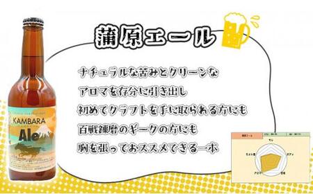 蒲原エール 3本 & 蒲原へイジ— 3本 計6本セット (キーホルダー栓抜き付き) HORSEHEAD LABS クラフトビール ご当地ビール 地ビール お酒 ビール