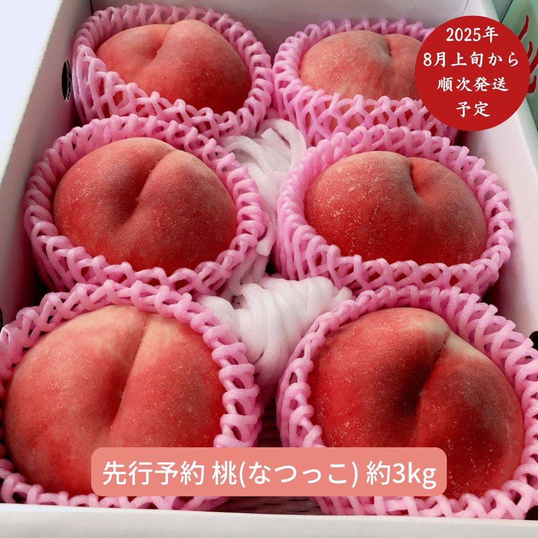 【ふるさと納税】先行予約 桃 (なつっこ) 3kg [8月上旬から発送予定] 令和7年度 新潟県産 桃 [さとうファーム]【014S009】