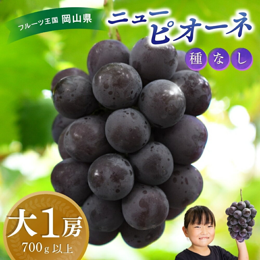 【ふるさと納税】 岡山　花笑み農園『ニューピオーネ』700g以上(大1房)　P-大1 hana45 【2025年9月上旬〜順次発送予定】【配送不可地域：離島】 真庭 国産 産地直送 フルーツ 葡萄 ぶどう ブドウ 果物 贈答 ギフト 食べ比べ 甘い 濃厚 おすすめ 人気 【1491169】