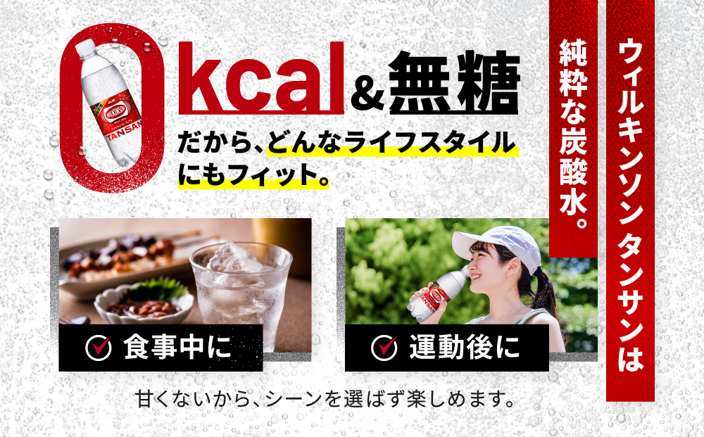 アサヒ飲料 ウィルキンソン タンサン（500mlペットボトル×24本×2箱）