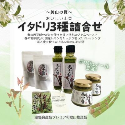 ふるさと納税 日高川町 【美山の贅】イタドリ3種詰合せセット
