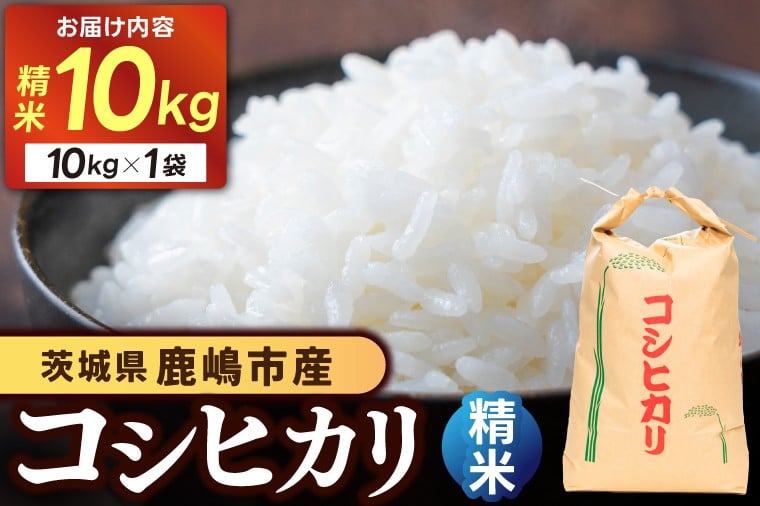 
            ★先行予約 令和8年産★ 米 コシヒカリ 10kg (精米) 鹿嶋市産【お米 白米 こしひかり 茨城県 鹿嶋市 30000円以内】(KDS-20)
          