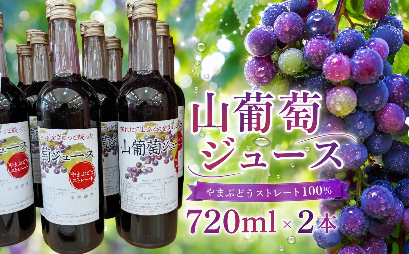 
                  六戸町産 山葡萄 100％使用! 山葡萄 ジュース 720ml × 2本 | 果物 果実 果汁 飲料 ジュース 酸味 やまぶどう ヤマブドウ 山ぶどう 酸っぱい 濃密 天然果汁 100％ 国産 青森県産 道の駅ろくのへ メイプルふれあいセンター 青森県 六戸町
                