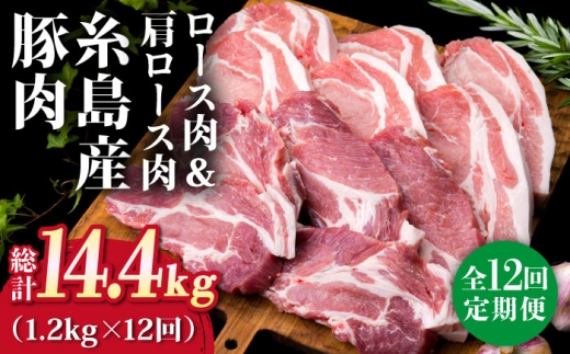 【全12回定期便】糸島産豚ロース肉6枚 肩ロースカツ5枚 合計11枚セット《糸島》【糸島ミートデリ工房】 [ACA231]