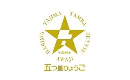 倭紋－わもん－地下足袋 阪神タイガース公認 タイガース・ロゴ（27.0cm）【兵庫県  高砂市】