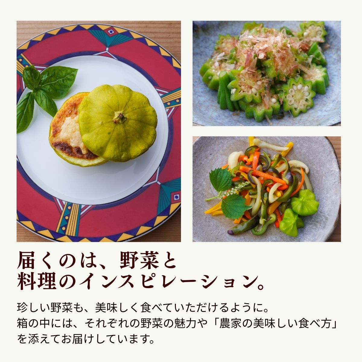 農薬化学肥料不使用 雲の上ガーデンのぴかぴか野菜セット（10回お届け）季節にあわせて10品目前後を毎月お届け【L003】季節 旬 詰め合わせ 採れたて 新鮮 産地直送 高知県産 冷蔵便 定期便