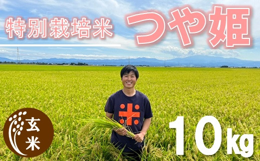 
ecofarmすがわらの特別栽培米つや姫10kg
