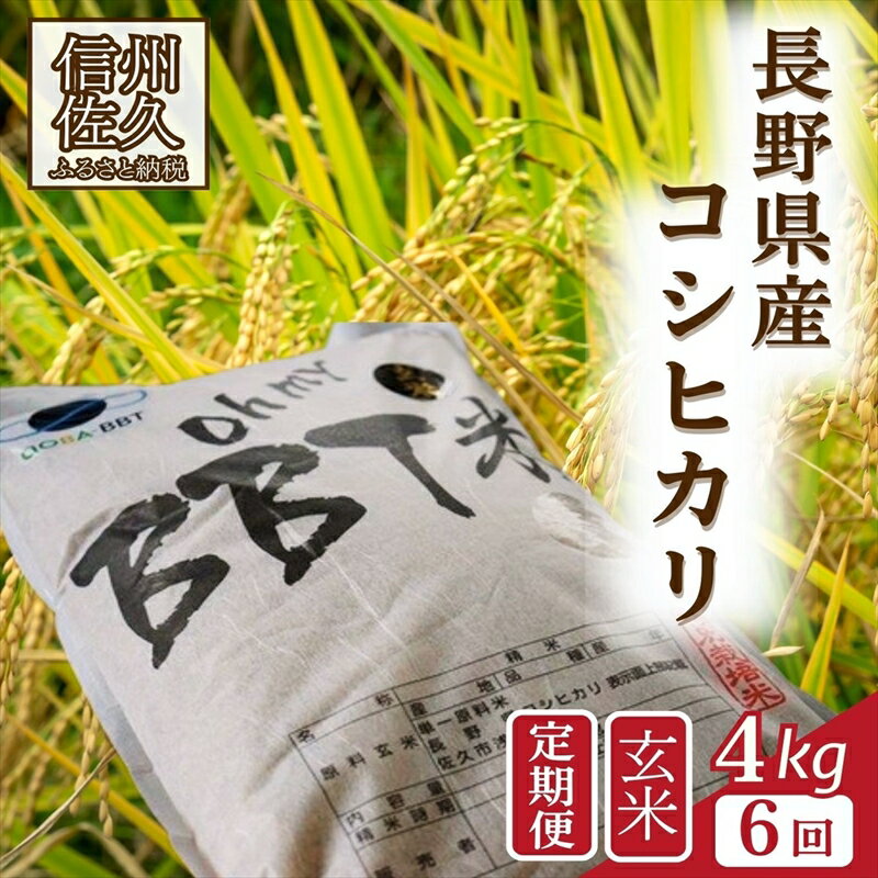 【ふるさと納税】【令和8年産・玄米4kg×6カ月定期便】特別栽培米　BBT米（五郎兵衛米） 〈2026年9月下旬頃～順次発送〉 先行予約　新米　信州　こしひかり