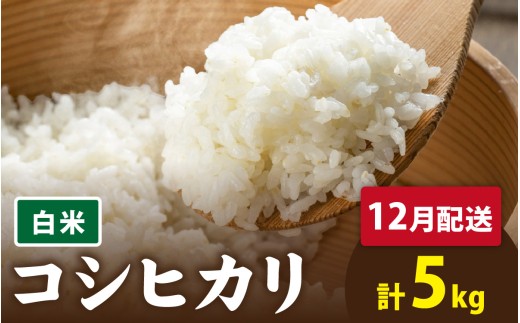 【先行予約】【 令和8年産　新米 】有機JAS認証 オーガニックコシヒカリ 白米 5kg×1袋（計5kg）《2026年12月発送》