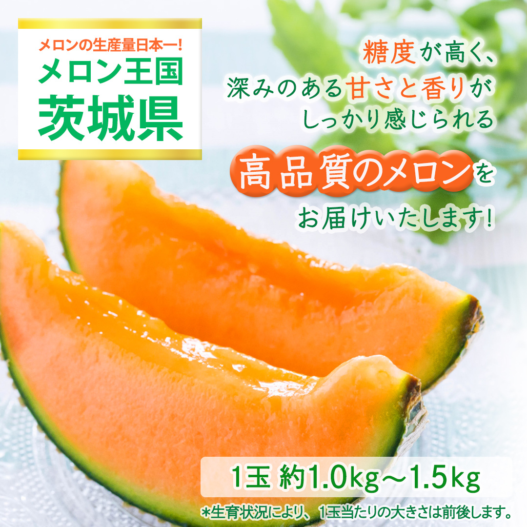 【定期便】 赤肉アールスメロン 1玉 × 3か月連続 赤肉 高糖度 甘い 美味しい フルーツ 誕生日 プレゼント ギフト 贈り物 父の日 母の日 1個 [FC36-NT]_イメージ2