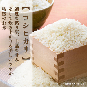 里山米マルコウ　コシヒカリ　5kg　精米 ／ 米 こめ コメ お米 おこめ コシヒカリ こしひかり 令和7年産 新米 白米 精米 ごはん ご飯 5kg 千葉県 匝瑳市 送料無料
