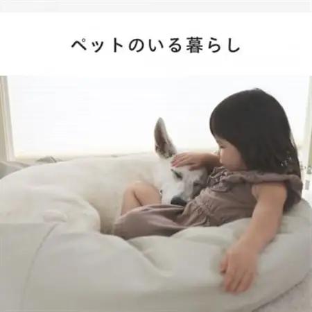 【ハナロロ】ペットベット スタイリスレザーカバー L(ホワイトベージュ)【1645933】