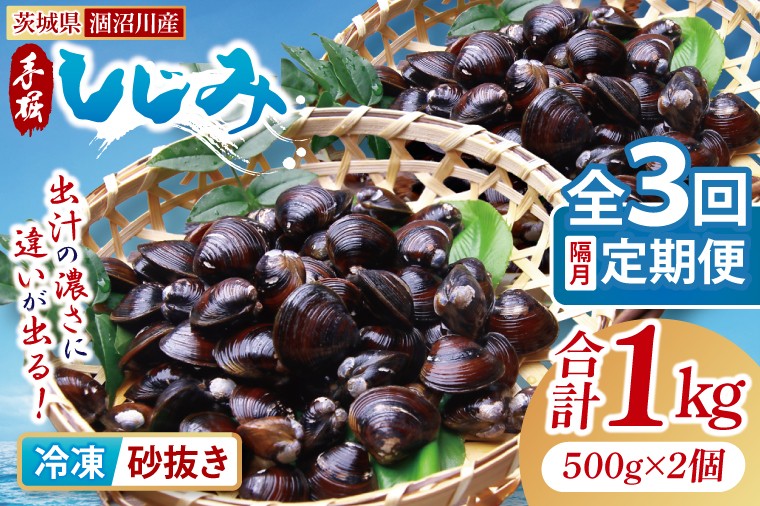 
            【全３回隔月定期便】茨城県涸沼川産 だしの濃さに違いが出る！手掘しじみ（砂抜き）500g×2個（1kg）【涸沼川 シジミ オルニチン 味噌汁 スープ 茨城県 水戸市】（MS-9）
          
