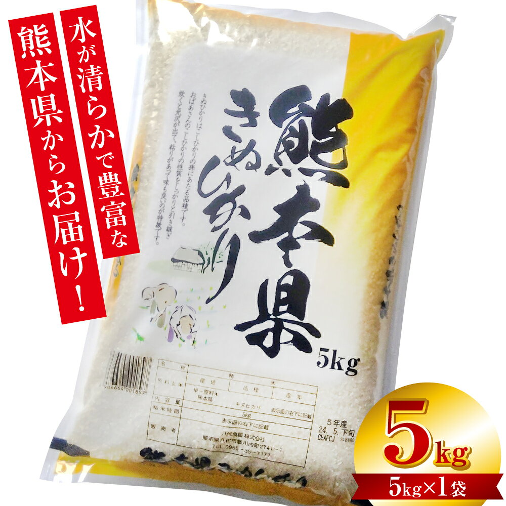 【ふるさと納税】【令和7年産】 熊本県産 きぬひかり 5kg（5kg×1袋） 米 お米 精米 白米 ごはん ご飯 熊本 送料無料