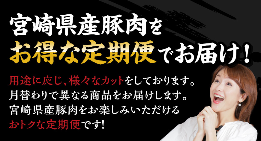 【訳あり定期便】宮崎県産豚肉お楽しみセット6ヶ月定期便　肉豚肉ぶた肉ぶた訳あり国産宮崎県産ミヤチクステーキとんかつ豚カツ豚かつトンカツ焼肉炒めもの炒め物煮物定期便豚肉送料無料 [D0674t6]