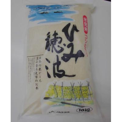 ふるさと納税 氷見市 令和6年産 氷見産こしひかり ひみ穂波10kg | 
