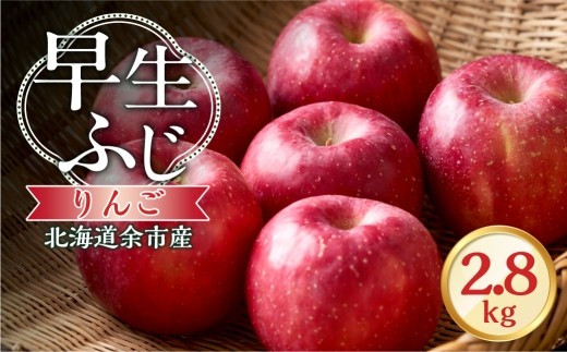 【先行予約：2026年10月中旬より発送】りんご（早生ふじ）2.8kg【北海道余市町産】
