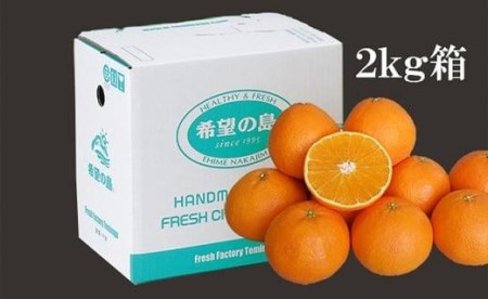 【2026年12月中旬頃から順次発送】【紅まどんなと同品種】愛果28号 訳あり品 2kg まどんな 【FT0241】