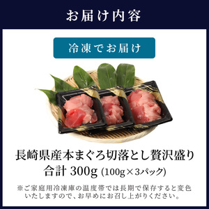 【訳あり】長崎県産本まぐろ贅沢盛り100g×3パック【B2-124】（本マグロ 本まぐろ 本鮪 鮪 マグロ 鷹島産 海鮮 まぐろ 漬け丼 魚介類 大トロ 中トロ 赤身 松浦 海鮮丼 丼 本格的 訳あり