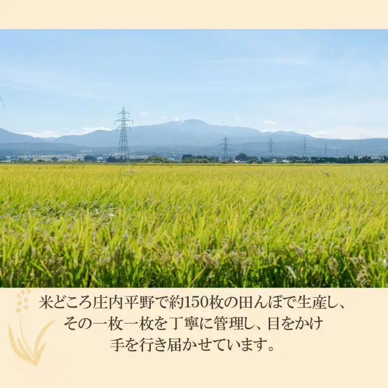 【令和8年産 先行予約】【定期便6ヶ月】井上農場のコシヒカリ 無洗米 6kg(2kg×3袋)×6ヶ月　K-856