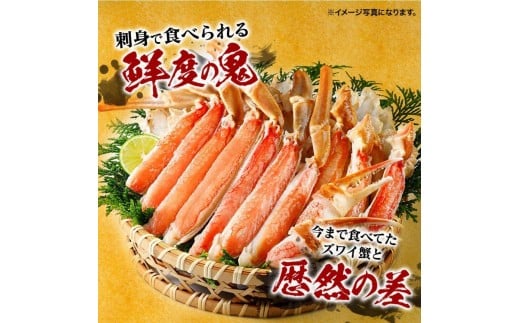 
            蟹 ハーフポーション 生ずわいがに 700g 2-3人前 爪 脚 刺身可 かに 刺し身 鮮度抜群 食べやすい 蟹しゃぶ しゃぶしゃぶ 生ズワイガニ 鍋 焼き蟹 カニ料理 かに刺 かに雑炊 かにすき 人気 おすすめ 冷凍 ずわい蟹 ふるさと納税 カニ かにしゃぶ 魚介類 海鮮 グルメ ポーション お取り寄せ 送料無料 兵庫県 神戸市
          