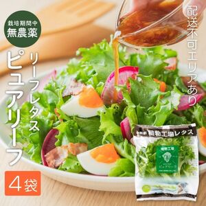レタス ピュアリーフ リーフレタス 無農薬栽培 レタス【4個入】