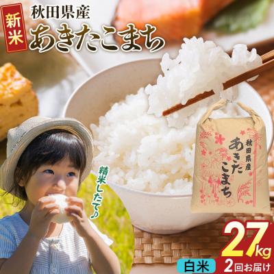 ふるさと納税 大仙市 定期便2ヶ月 白米  あきたこまち 27kg  R8年|22_kml-062702s | 