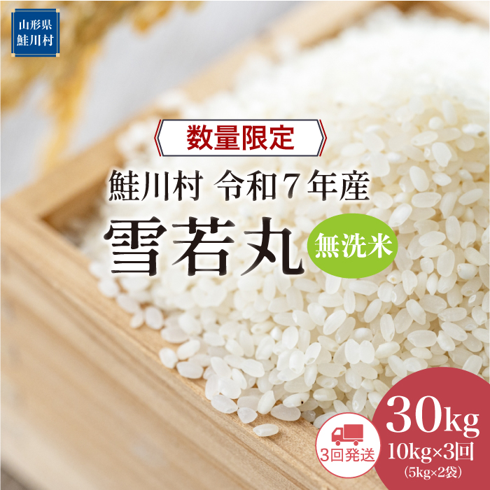 ◇数量限定品◇ ＜令和7年産＞ 雪若丸 【無洗米】30kg定期便 (10kg×3回)　鮭川村　《配送時期指定可》