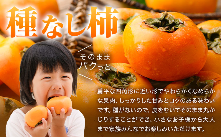 家庭用 種なし柿 約7.5kg 訳あり 池田鹿蔵農園《10月上旬-12月上旬頃出荷》和歌山県 日高町 刀根早生柿 平核無柿 ひらたねなしかき カキ 種なし柿---wsh_idn374_10j12j_2