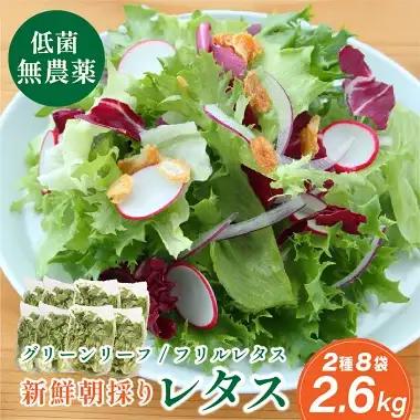 無農薬 レタス (2種類2.6kg) 無農薬野菜 MBF002