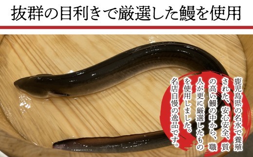 【3ヶ月定期便】〈いろは〉九州産手焼きうなぎ白焼き 3尾 (約450g) [M985-1] ウナギ 鰻 炭火焼き 肉厚 うな重 ランキング 土用の丑の日 鹿児島県 人気 オススメ 宮若市