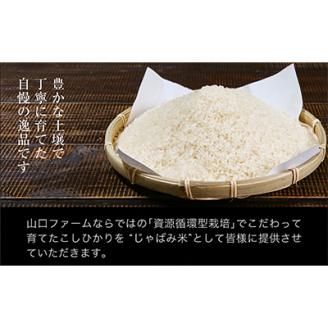 [先行予約] R7年産 関川村産コシヒカリ6kg(3kg×2) 丁寧に育てた贅沢米 [山口ファーム]