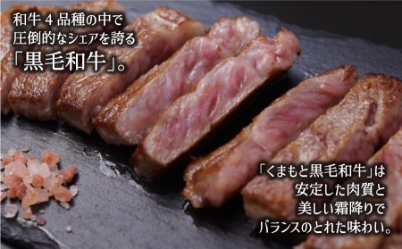 黒毛和牛・サーロイン500g【熊本県畜産農業協同組合】