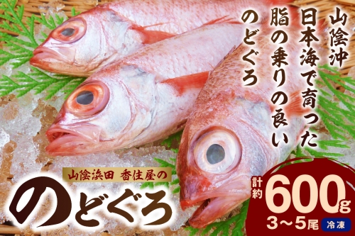 山陰浜田 香住屋の「のどぐろ」煮付け・塩焼き用（3～5尾・600g） のどぐろ 煮付け 塩焼き 下処理済 特産品 おすすめ 海鮮 【107】