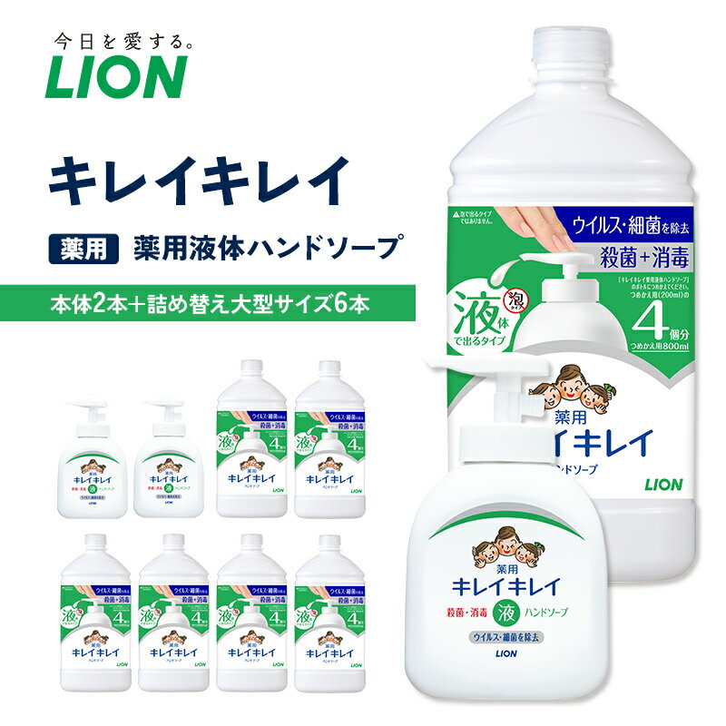 【ふるさと納税】ハンドソープ キレイキレイ 薬用 液体ハンドソープ 本体 250ml×2本, 詰め替え 大型800ml×6本 薬用ハンドソープ 日用品 消耗品 大容量 いい香り LION ライオン 液体石鹸 石鹸 兵庫 兵庫県 小野市
